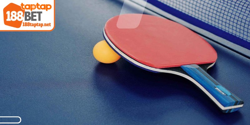 Cách thức tính điểm trong cược bóng bàn được quy định rõ ràng