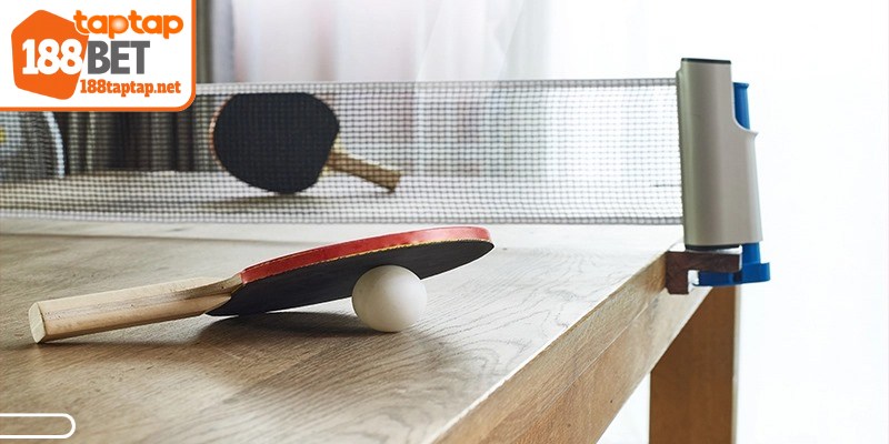 Cá cược bóng bàn là hình thức dự đoán kết quả thú vị hiện nay