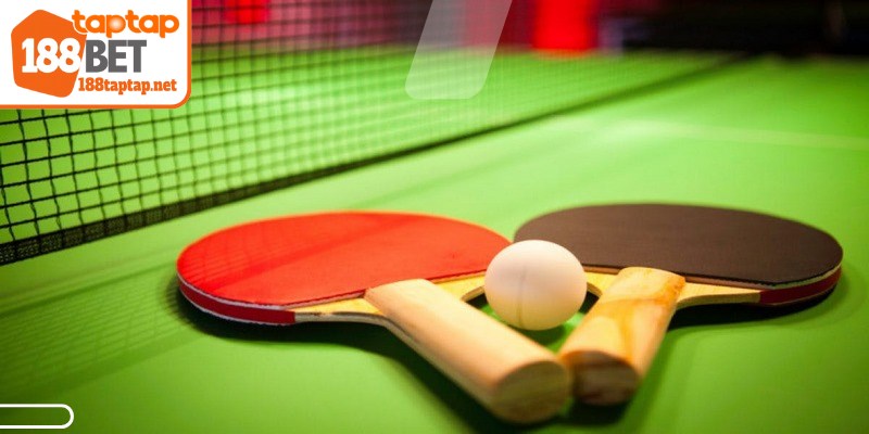 Truy cập và trải nghiệm cược bóng bàn hiện đại mỗi ngày