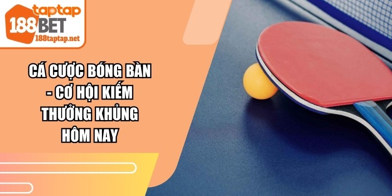 Cá Cược Bóng Bàn