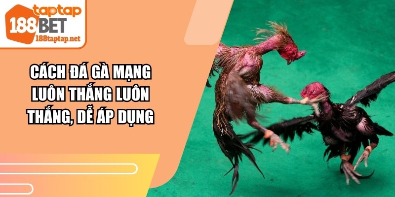 Cách Đá Gà Mạng Luôn Thắng