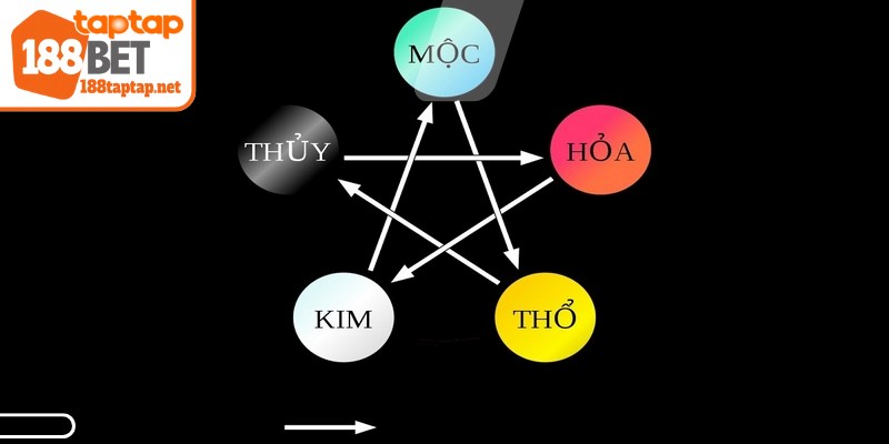 Màu sắc làm cho chiến kê trở nên quyến rũ và lôi cuốn sự chú ý