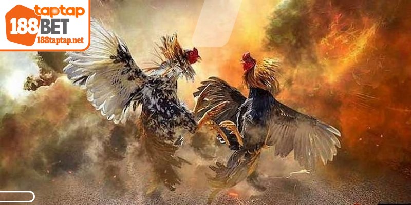 Phổ biến nhất hiện nay là những từ liên quan trực tiếp đến diễn biến